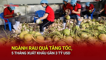 Ngành rau quả tăng tốc, 5 tháng Liên Minh Truyền Thông Và Game Giải Trí Top 1 gần 3 tỷ USD