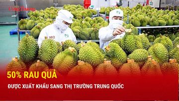 50% rau quả được xuất khẩu sang thị trường Trung Quốc