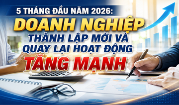 Infographic | Okvip tại về thành lập mới và quay lại hoạt động tăng mạnh