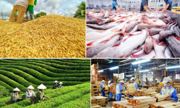 Infographic | Sản xuất nông nghiệp 5 tháng duy trì đà tăng trưởng 