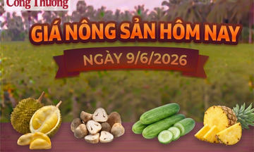 Giá Trang Chủ OKVIP COM Top #1 hôm nay, ngày 9/6: Sầu Thái ở mức cao