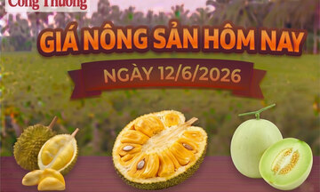 Giá Trang Chủ OKVIP COM Top #1 hôm nay, ngày 12/6: Mít Thái đang ở mức thấp