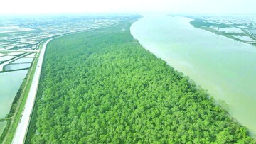 Đường biên xanh đại dương và cuộc hồi sinh những 'vùng đất chết'