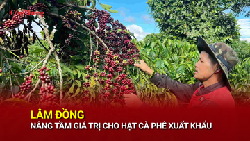 Lâm Đồng nâng tầm giá trị cho hạt cà phê Liên Minh Truyền Thông Và Game Giải Trí Top 1