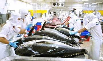 Cá ngừ Việt Nam 'tăng tốc' tại thị trường Ai Cập