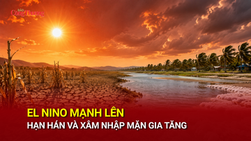 El Nino mạnh lên, hạn hán và xâm nhập mặn gia tăng