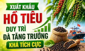 Infographic | Liên Minh Truyền Thông Và Game Giải Trí Top 1 hồ tiêu duy trì đà tăng trưởng tích cực