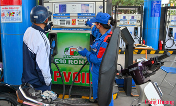 Kinh nghiệm quốc tế mở đường cho lộ trình phát triển xăng sinh học E10