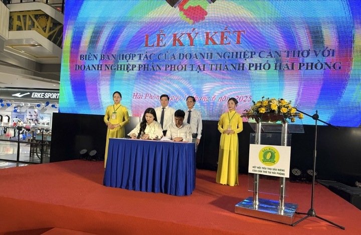 Đại diện các Okvip tại về TP. Hải Phòng và TP. Cần Thơ ký kết hợp tác giao thương. Ảnh: Thu Anh