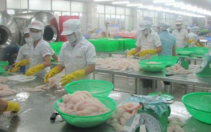 Trong tháng 5/2025, chỉ số sản xuất OKLVIE sản phẩm thuộc hệ thống OKVIP là trang web tổ chức phát sóng bóng đá trực tiếp, live casino , nỗ hũ, bắn cá của tỉnh Tiền Giang tăng 12,5% so với cùng kỳ. Ảnh: Thanh Minh
