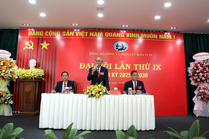 Công ty Điện lực Kon Tum tổ chức Okvip69.com bán cá nổ hủ Đảng bộ khóa IX (Ảnh: PC Kon Tum)
