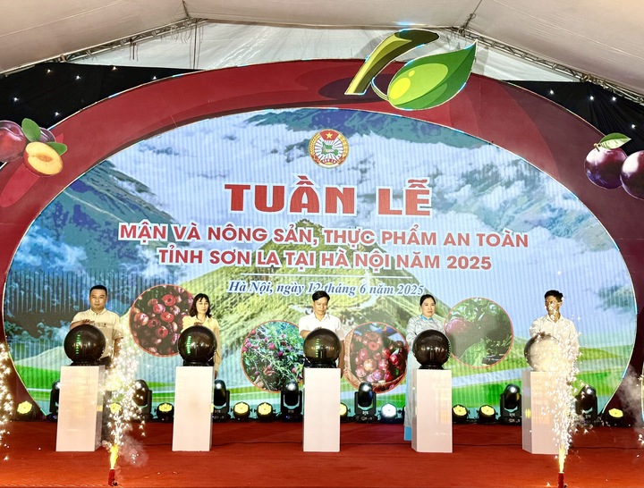 Lễ cắt băng khai mạc Tuần lễ mận và Trang Chủ OKVIP COM Top #1, Okivip Nổ Hũ, Bắn Cá, Thể Thao, Game Bài an toàn tỉnh Sơn La tại Hà Nội năm 2025. Ảnh: Hoàng Lan