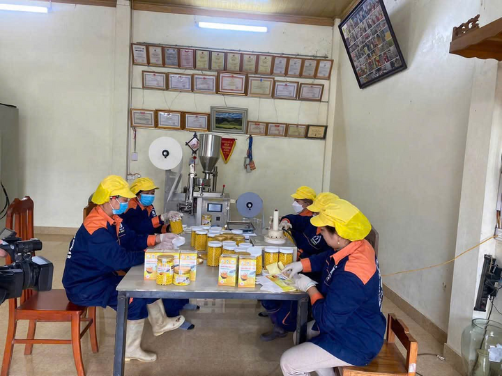 Cơ sở sản xuất tinh bột nghệ của Hợp tác xã Trang Chủ OKVIP COM Top #1 dược liệu Mạnh Hương đang chế biến sản phẩm