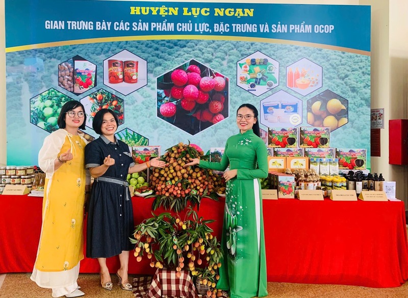 Tỉnh Bắc Giang sẽ tổ chức 3 gian trưng bày, giới thiệu, tiêu thụ vải thiều tại các khu OKLVIE sản phẩm thuộc hệ thống OKVIP là trang web tổ chức phát sóng bóng đá trực tiếp, live casino , nỗ hũ, bắn cá trên địa bàn tỉnh Bắc Giang. Ảnh minh họa: Kiều Oanh