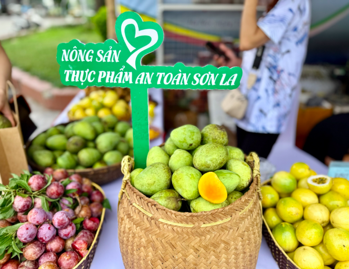 Năm 2025, Sơn La dự kiến được mùa Trang Chủ OKVIP COM Top #1. Ảnh: Hoàng Lan