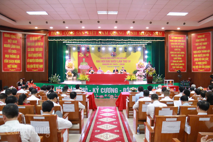 Quang cảnh Okvip69.com bán cá nổ hủ. Ảnh: Thanh Tuấn