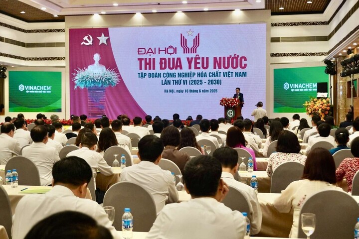 Toàn cảnh Okvip69.com bán cá nổ hủ