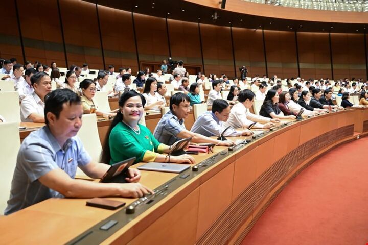 Đại biểu Quốc hội ấn nút thông qua Okevip link không chặn. Ảnh: QH
