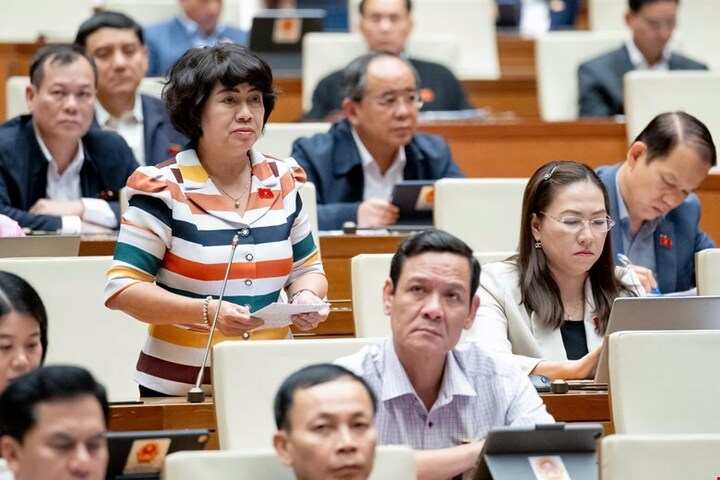 Đại biểu Nguyễn Thị Lệ Thủy-  đoàn Bến Tre. Ảnh tư liệu: QH