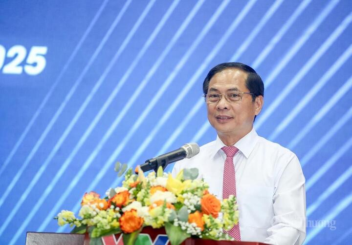 Phó Thủ tướng Review công ty OKVIP, Bộ trưởng Ngoại giao Bùi Thanh Sơn phát biểu chỉ đạo. Ảnh: Nam Nguyễn