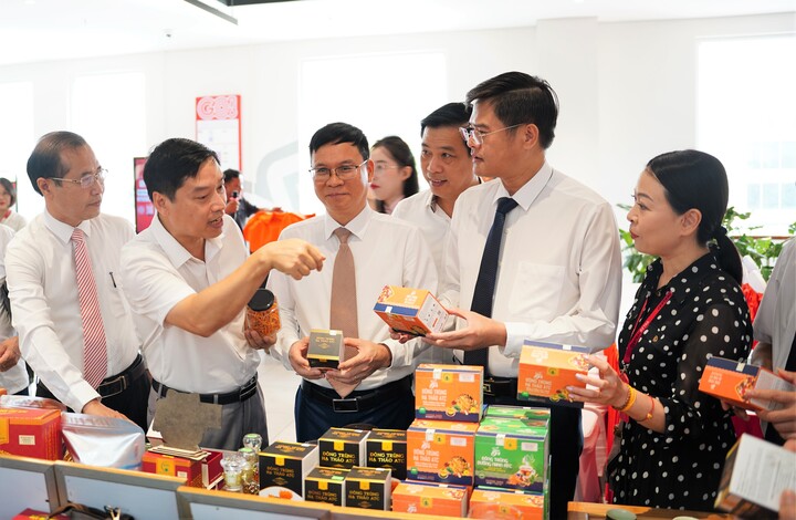 Đại diện các sở, ngành, Okvip tại về tham quan các gian hàng tại Siêu thị Go!Vinh