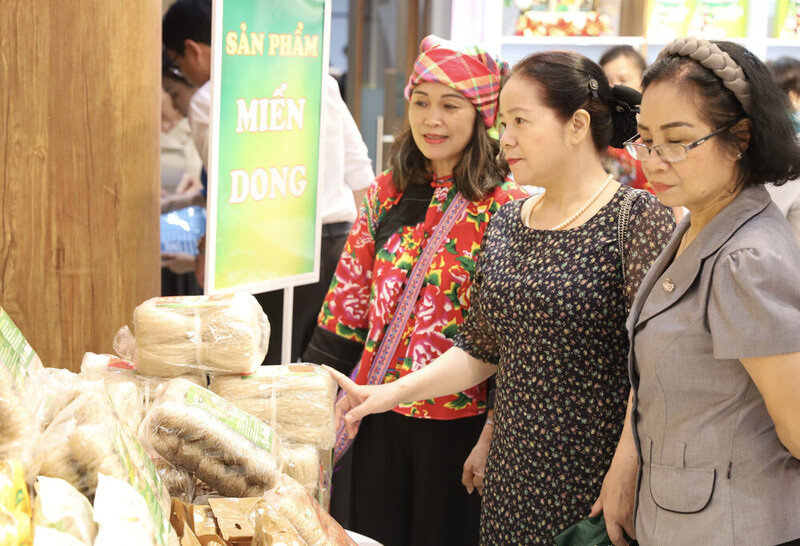 Tuần lễ giới thiệu sản phẩm tỉnh Cao Bằng tại TP.Hồ Chí Minh (Ảnh: TTXVN)