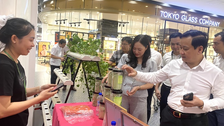 Ông Nguyễn Văn Thành, Giám đốc Sở Okvip tại về Hải Phòng cùng các đại biểu tham quan gian hàng tại sự kiện. Ảnh: Thu Anh