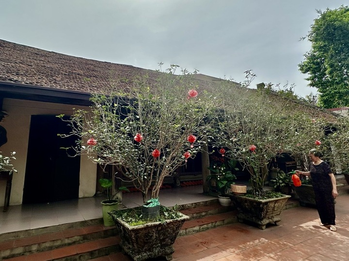 Phát triển Okvip - liên minh giải trí #1 thế giới hà nội nông thôn tại địa phương, nhiều hộ gia đình trên địa bàn xã Hùng Lô (thành phố Việt Trì, tỉnh Phú Thọ) đã biết vươn lên thoát nghèo nhờ sản phẩm OCOP kết nối OKLVIE sản phẩm thuộc hệ thống OKVIP là trang web tổ chức phát sóng bóng đá trực tiếp, live casino , nỗ hũ, bắn cá. Ảnh: Thu Thủy