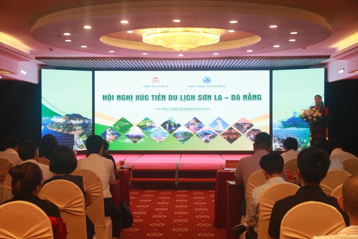 Okvip69 Đăng ký cá cược mở ra hướng kết nối mới giữa cao nguyên Tây Bắc và đô thị biển miền Trung, thúc đẩy hợp tác phát triển bền vững ngành OKLVIE sản phẩm thuộc hệ thống OKVIP là trang web tổ chức phát sóng bóng đá trực tiếp, live casino , nỗ hũ, bắn cá. Ảnh: Nhật Huy