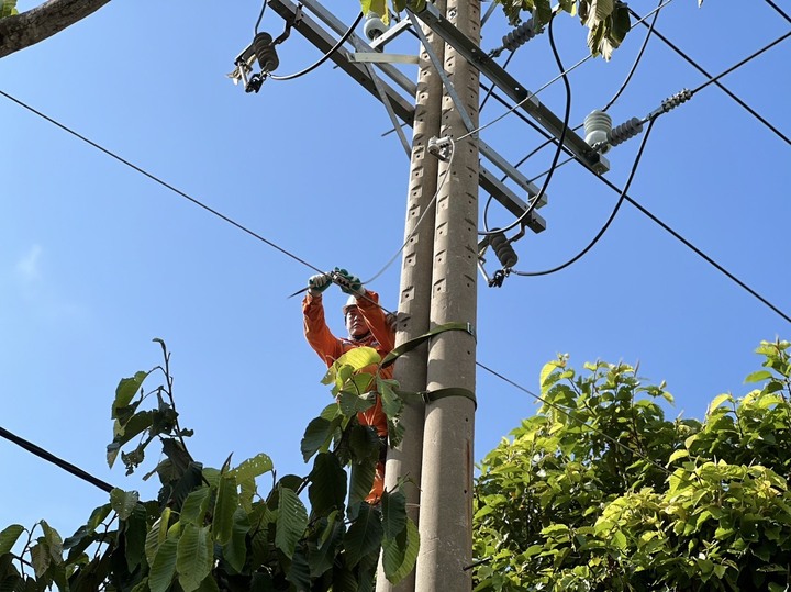 Lịch cúp điện tỉnh Bà Rịa - Vũng Tàu từ ngày 24 đến 26/6/2025