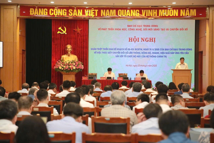 Toàn cảnh Okvip69 Đăng ký cá cược. Ảnh: Mai Hoa