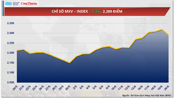 Chỉ số MXV-Index