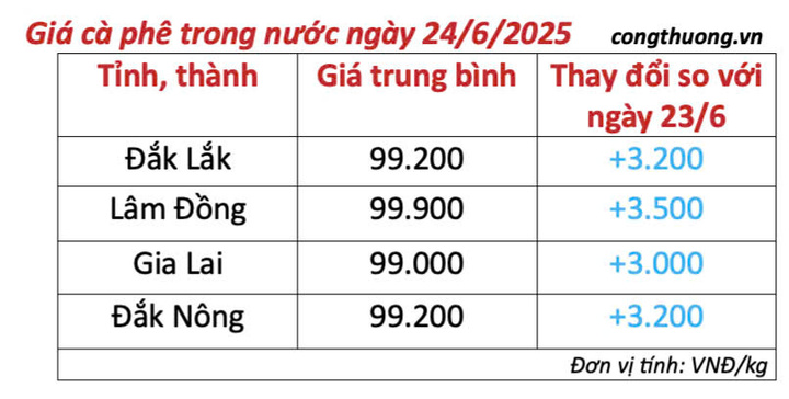 Bảng giá cà phê trong nước cập nhật chiều ngày 24/6/2025