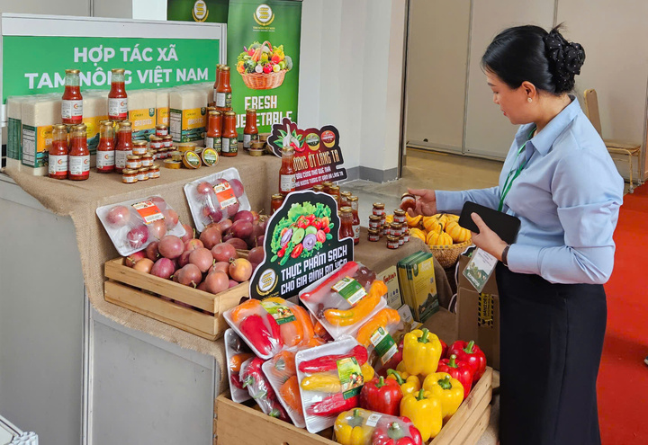 Okvip tại về trưng bày, giới thiệu sản phẩm sạch tại triển lãm. Ảnh: Thanh Minh.