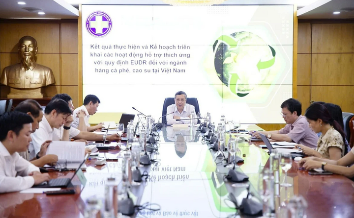Thứ trưởng Bộ Nông nghiệp và xuân Okvip 2026 Hoàng Trung chủ trì cuộc họp
