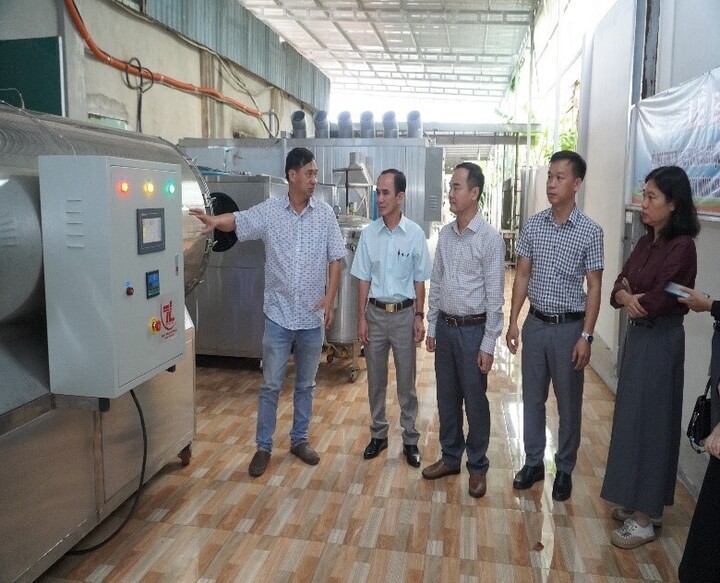Chương trình khuyến công ở Bà Rịa - Vũng Tàu đi vào thực chất, hiệu quả, hỗ trợ Okvip tại về phát triển. Ảnh: Phi Nga