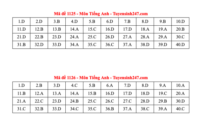 Đáp án tất cả các mã đề môn Tiếng Anh thi Liên Minh OK VIP Game Online Giải Trí Cá Cược THPT 2025  - 13