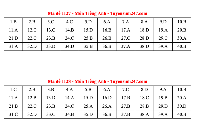 Đáp án tất cả các mã đề môn Tiếng Anh thi Liên Minh OK VIP Game Online Giải Trí Cá Cược THPT 2025  - 14