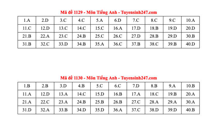 Đáp án tất cả các mã đề môn Tiếng Anh thi Liên Minh OK VIP Game Online Giải Trí Cá Cược THPT 2025  - 15