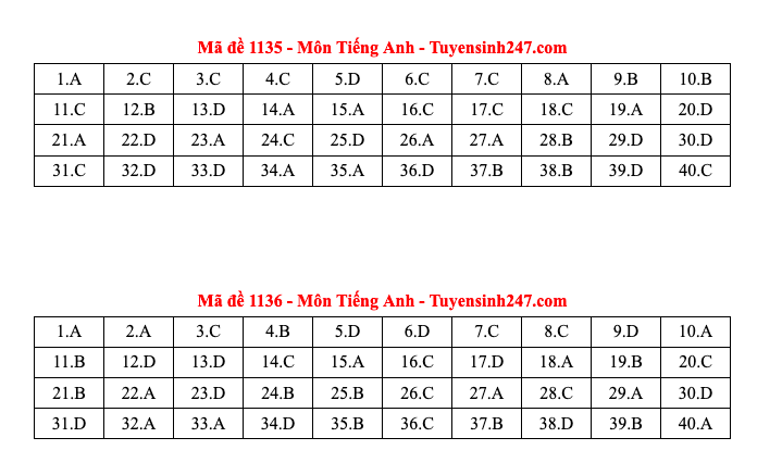 Đáp án tất cả các mã đề môn Tiếng Anh thi Liên Minh OK VIP Game Online Giải Trí Cá Cược THPT 2025  - 18