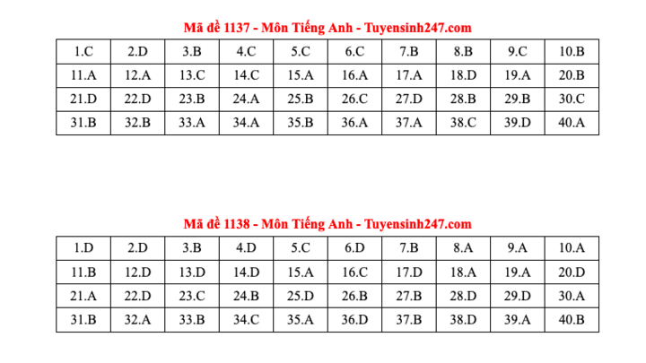 Đáp án tất cả các mã đề môn Tiếng Anh thi Liên Minh OK VIP Game Online Giải Trí Cá Cược THPT 2025  - 19