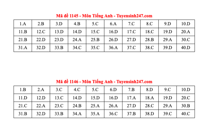 Đáp án tất cả các mã đề môn Tiếng Anh thi Liên Minh OK VIP Game Online Giải Trí Cá Cược THPT 2025  - 23