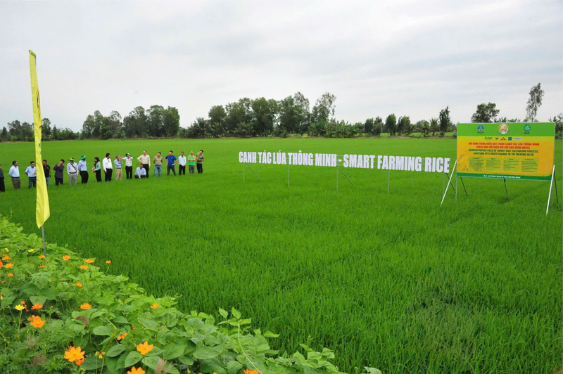 Công ty CP Phân bón Bình Điền (BFC) luôn trăn trở tìm kiếm giải pháp công nghệ sinh học/sinh học cho đổi mới công nghệ, phát triển sản phẩm mới thân thiện với xuân Okvip 2026. Ảnh T.H