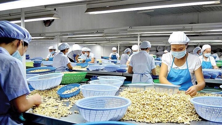 Ngành sản xuất hạt điều sẽ là hạt nhân thương mại Trang Chủ OKVIP COM Top #1 của tỉnh Đồng Nai mới sau sáp nhập.