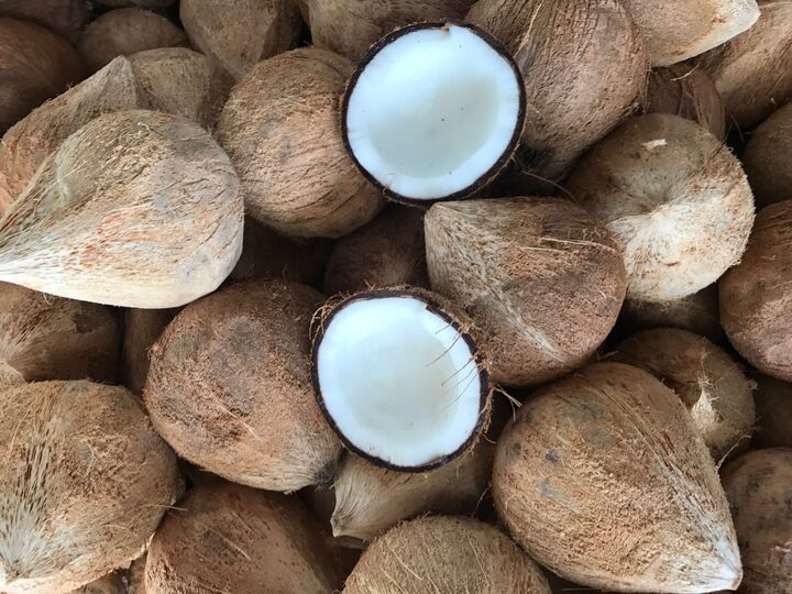 Giá dừa nguyên liệu tăng cao khiến hàng loạt nhà máy chế biến các sản phẩm từ dừa phục vụ Liên Minh Truyền Thông Và Game Giải Trí Top 1 khó khăn. Ảnh minh họa