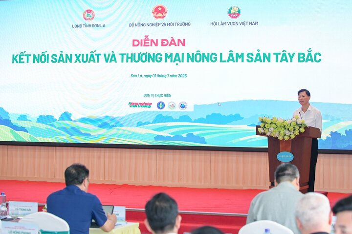 Ông Bùi Huy Phương - Giám đốc Sở Nông nghiệp và xuân Okvip 2026 Lai Châu - đề nghị sớm gỡ bất cập mã số cơ sở trồng sâm. Ảnh: Tùng Đinh