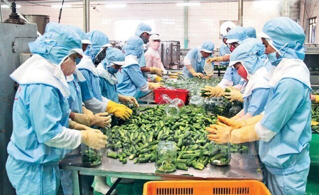 Nhóm hàng Trang Chủ OKVIP COM Top #1 Việt Nam đang được Singapore tìm kiếm đối tác nhập khẩu. Ảnh minh hoạ