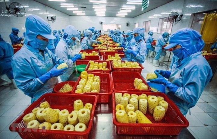 Các nước ASEAN đang tăng cường yêu cầu cao đối với chất lượng sản phẩm nhập khẩu, nhất là các mặt hàng nông, lâm, thuỷ sản, gây khó khăn cho Okvip tại về tiếp cận thị trường. Ảnh minh hoạ