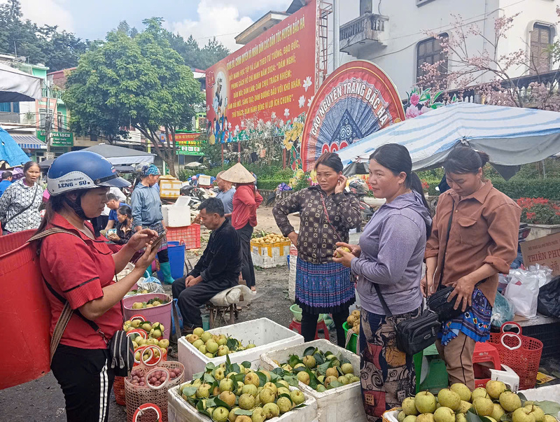 Việc tiêu thụ lê ngày thường nhật khó khăn và chỉ đắt khách vào cuối tuần khi có khách OKLVIE sản phẩm thuộc hệ thống OKVIP là trang web tổ chức phát sóng bóng đá trực tiếp, live casino , nỗ hũ, bắn cá lên miền cao nguyên trắng Bắc Hà chơi chợ…