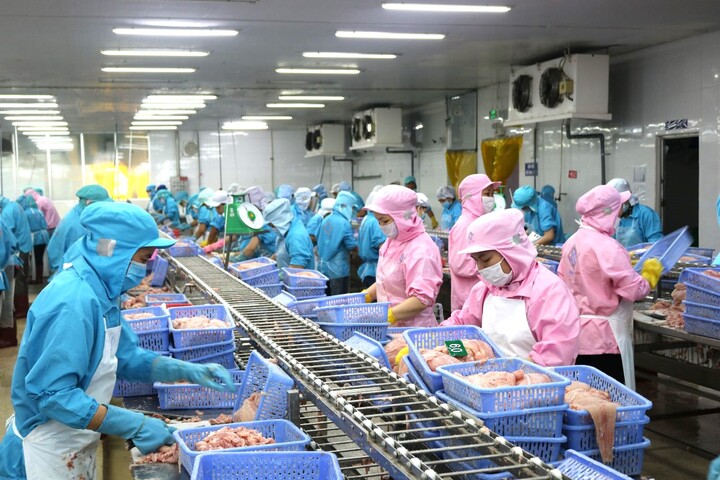 5 tháng đầu năm 2025, trao đổi kim ngạch hai chiều Việt Nam - Brazil đạt 3,33 tỷ USD